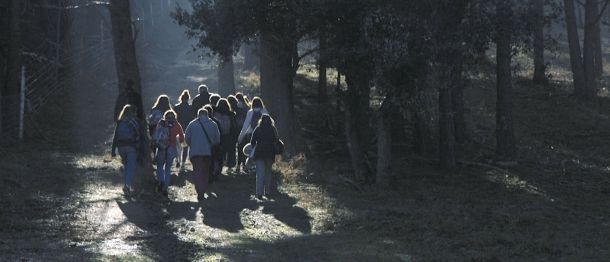 Chemins d’engagement