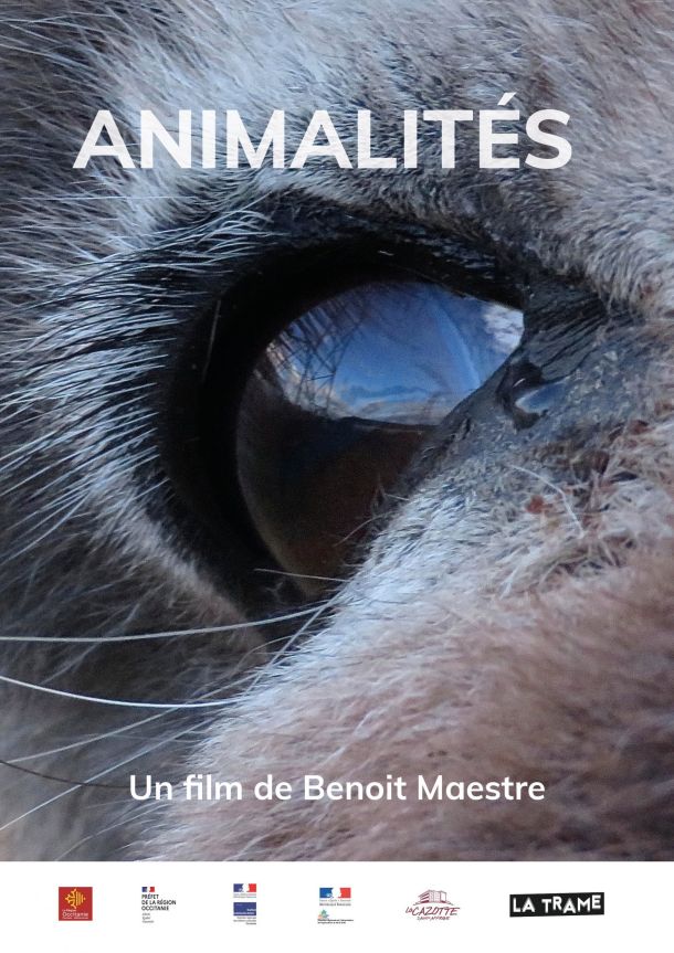 Animalités