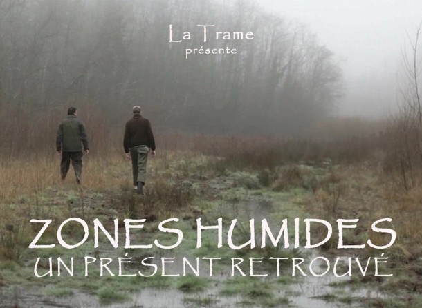 Zones humides, un présent retrouvé