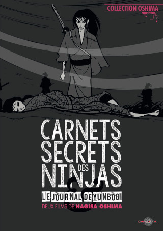 Carnets Secrets Des Ninjas