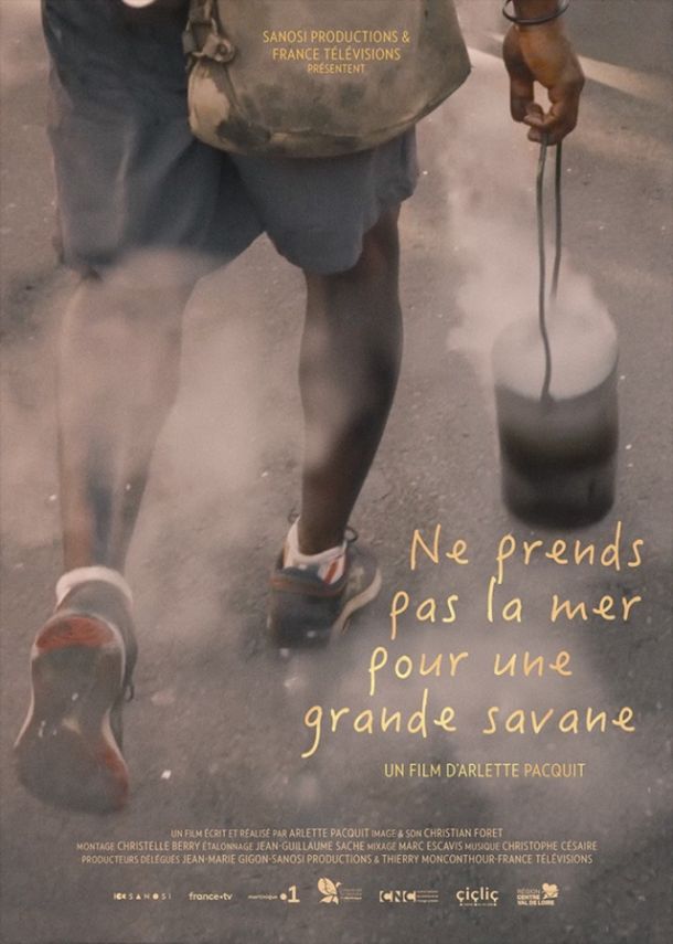 Ne prends pas la mer pour une grande savane