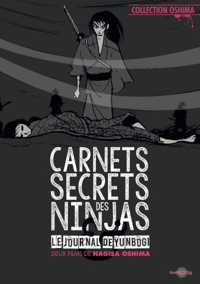 Carnets Secrets Des Ninjas