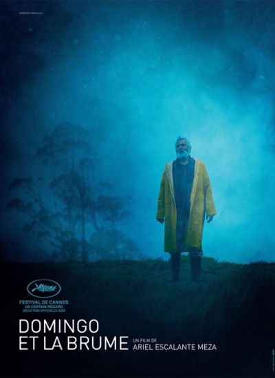 Domingo et la brume