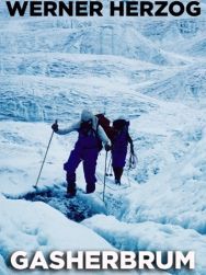 Gasherbrum, la montagne lumineuse