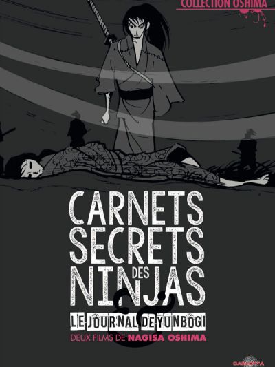 Carnets Secrets Des Ninjas