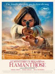 Le Mystérieux regard du flamant rose