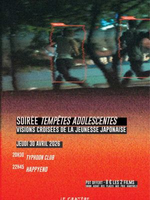 Tempêtes adolescentes : visions croisées de la jeunesse japonaise