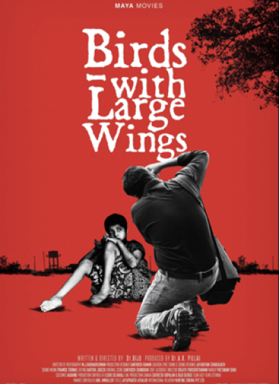 Birds with large wings
