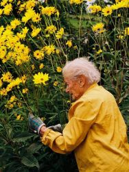 Courts métrages d'Amanda Meunier