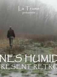 Zones humides, un présent retrouvé