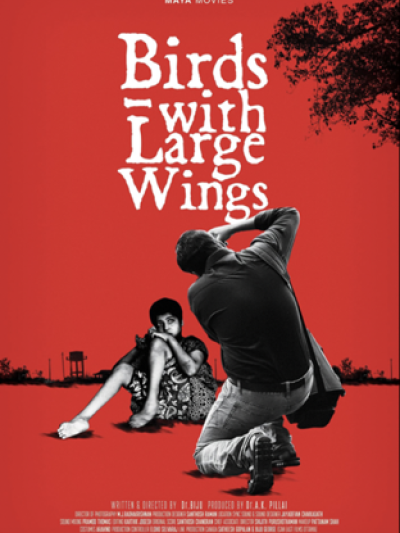 Birds with large wings