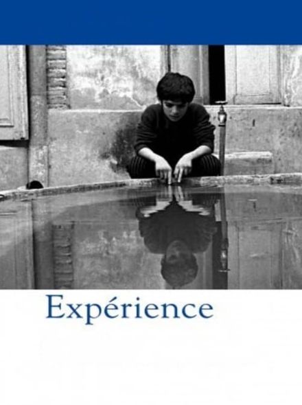 Expérience + Le Pain et la rue