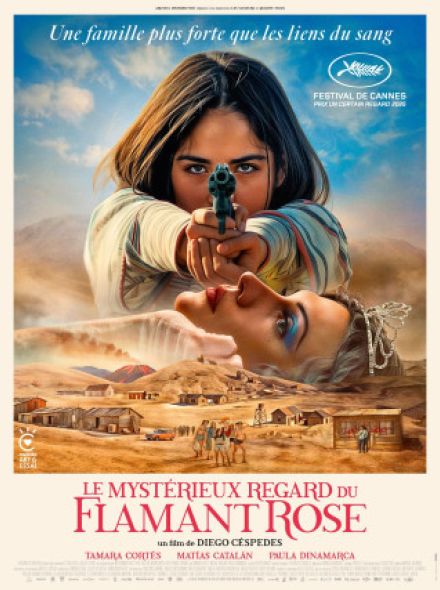 Le Mystérieux regard du flamant rose